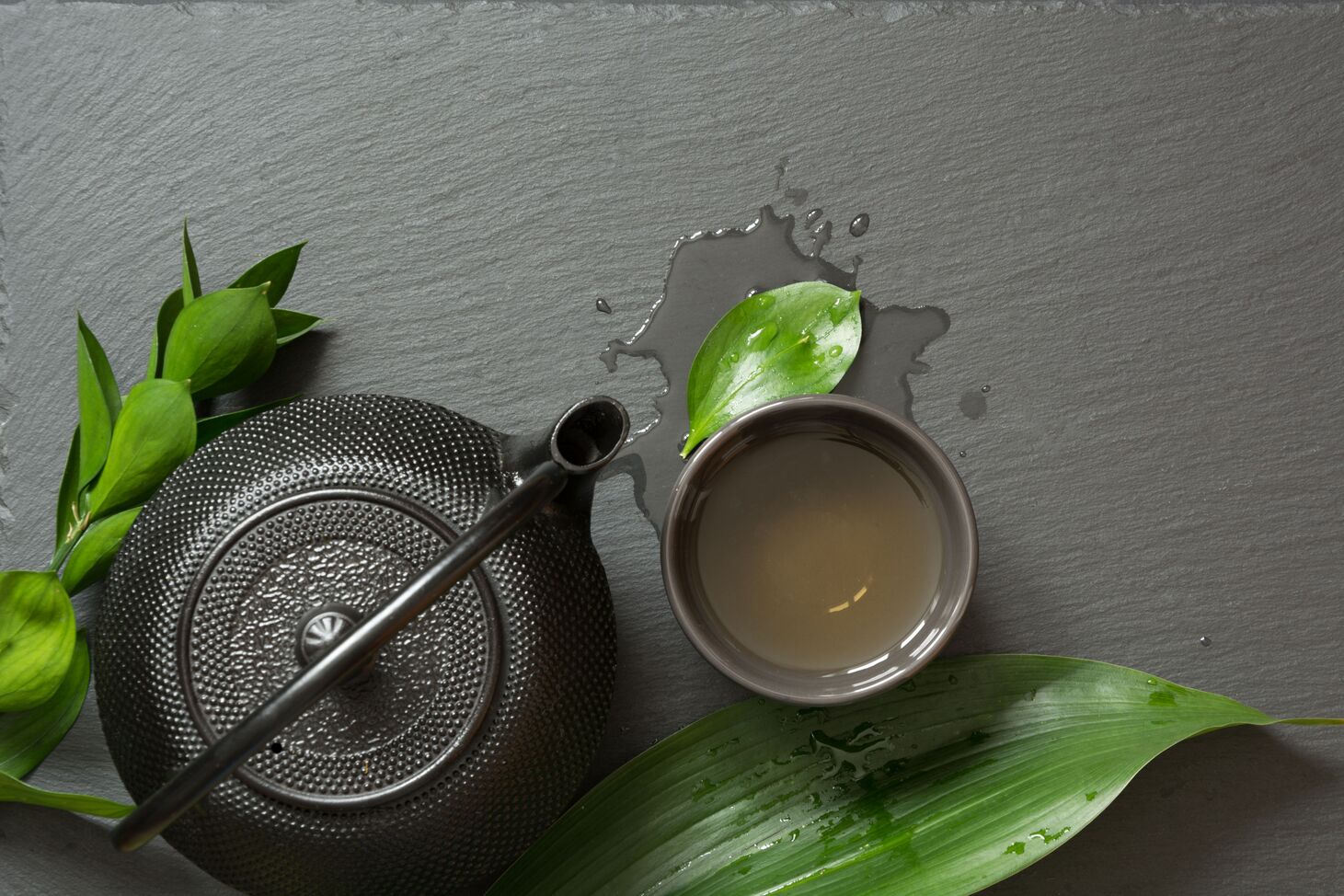 靖安白茶有哪些特点？是什么茶？