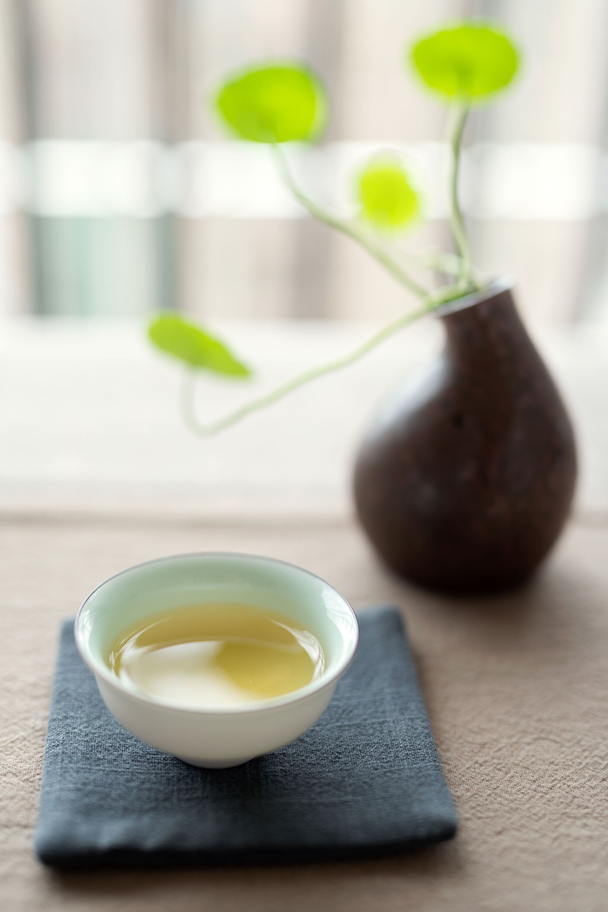 槐花茶有什么副作用  和槐米茶的区别