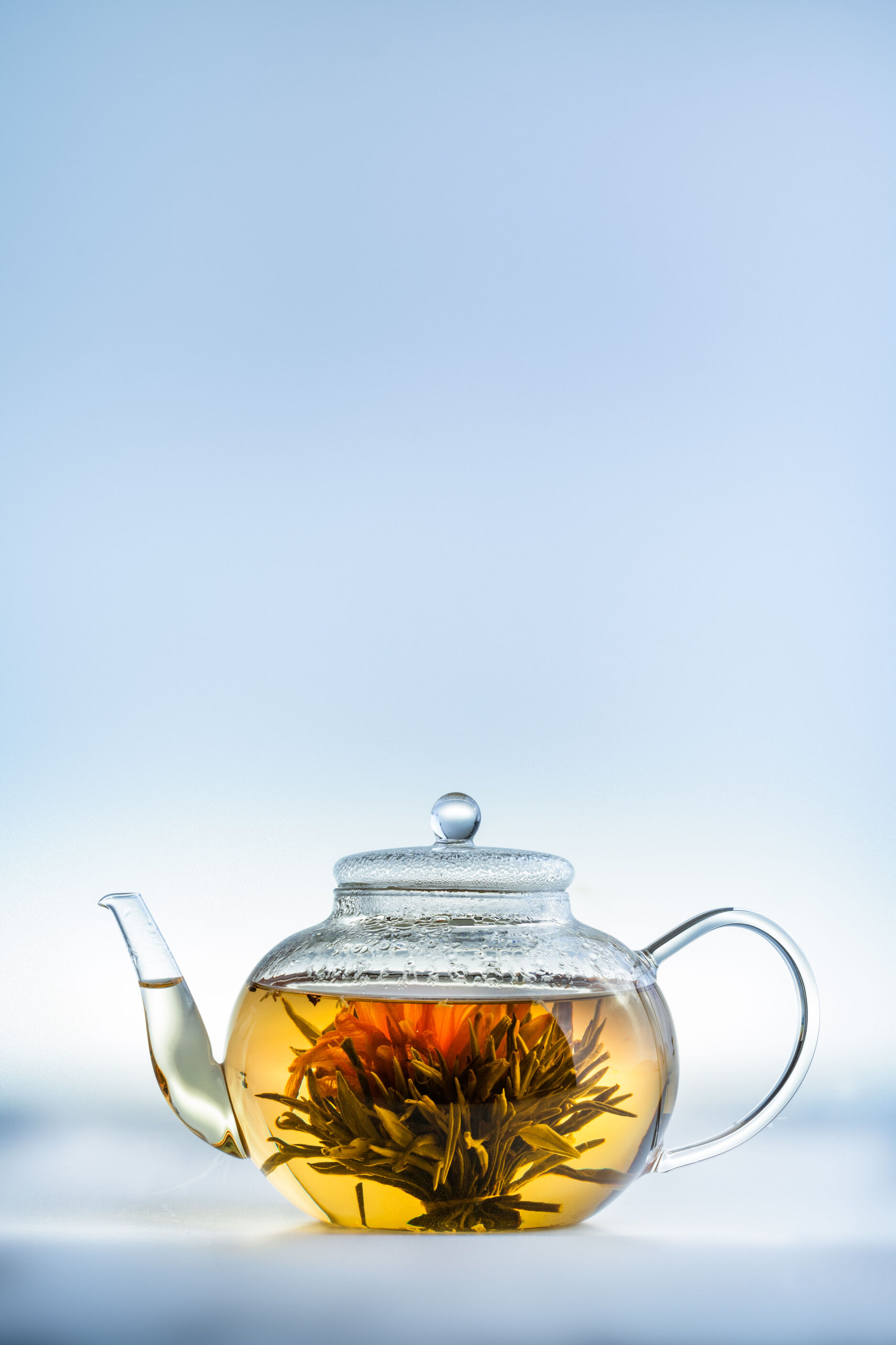 福鼎白茶与月光白茶、安吉白茶的区别！