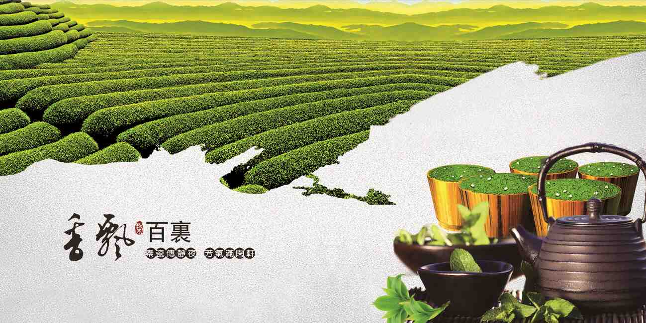 「庐山云雾茶」是一种什么茶，有什么历史与制作特色？