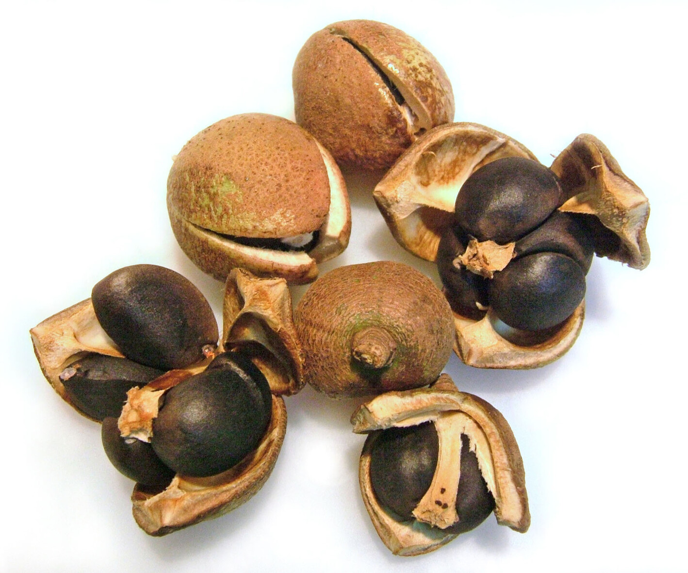 “蒙顶山茶”推进精制川茶战略获表彰