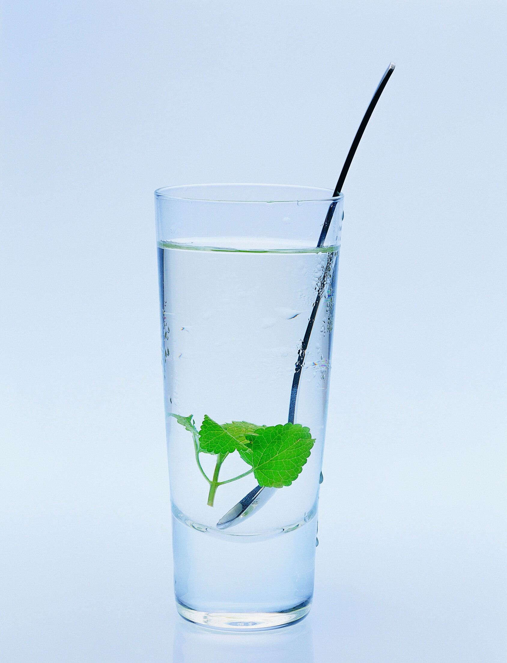 国际茶日·我为日照绿茶代言 | 宋大鹏：“谷雨工程”为日照绿茶保驾护航