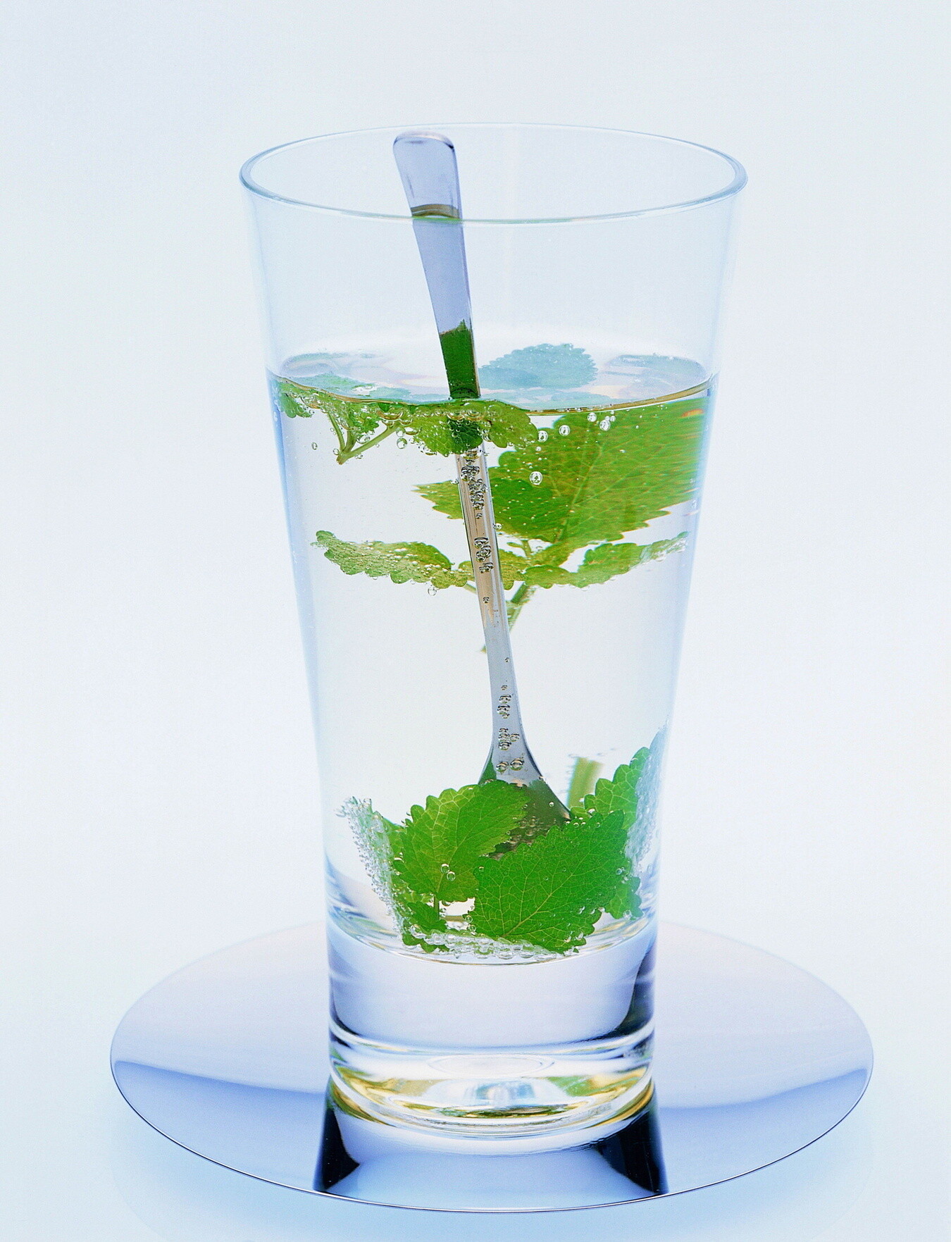 国际茶日·我为日照绿茶代言 | 董彦才：好山好水出好茶，好的生态出优质产品