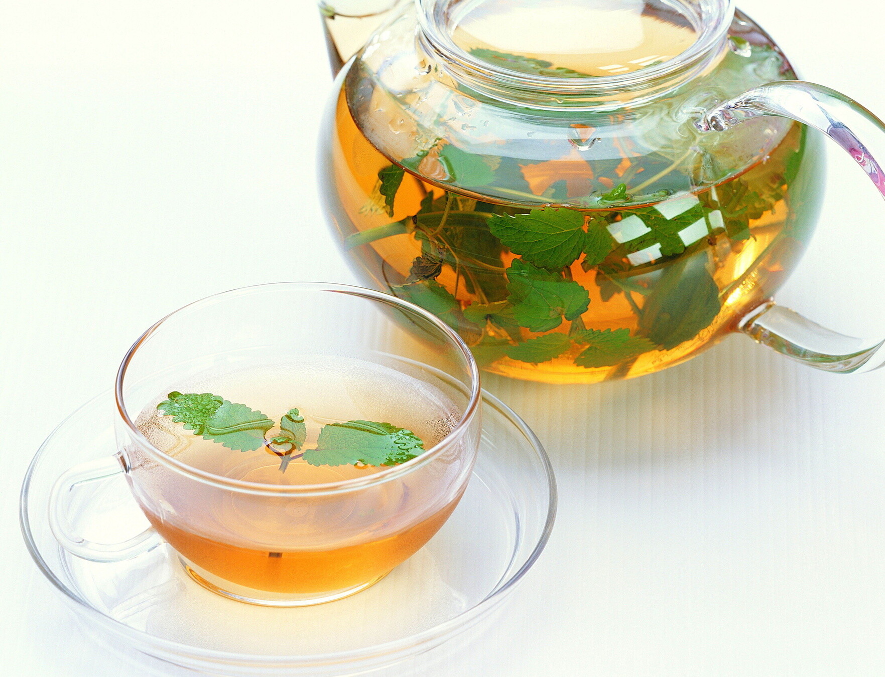 绿茶饮料怎么制作最好喝