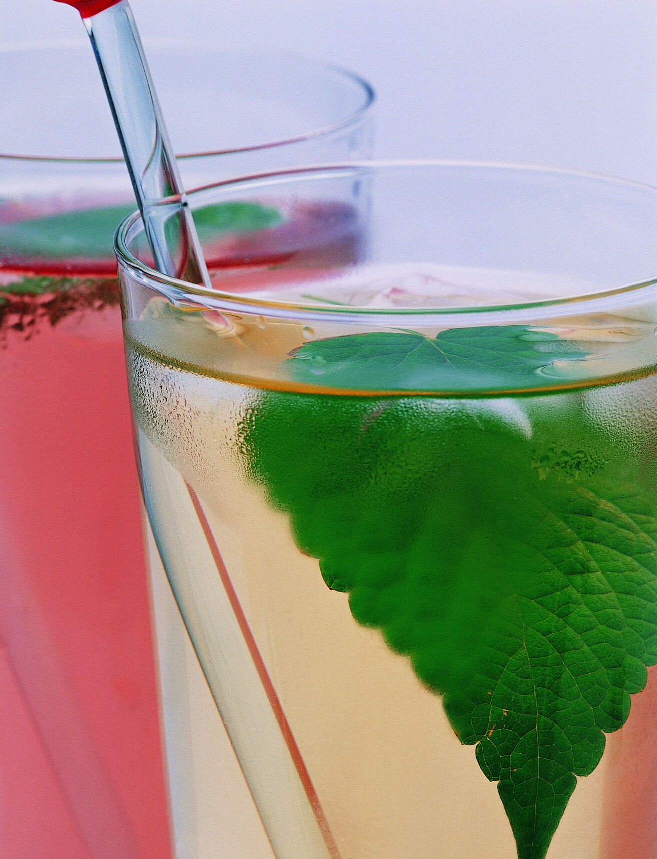 安吉白茶的作用