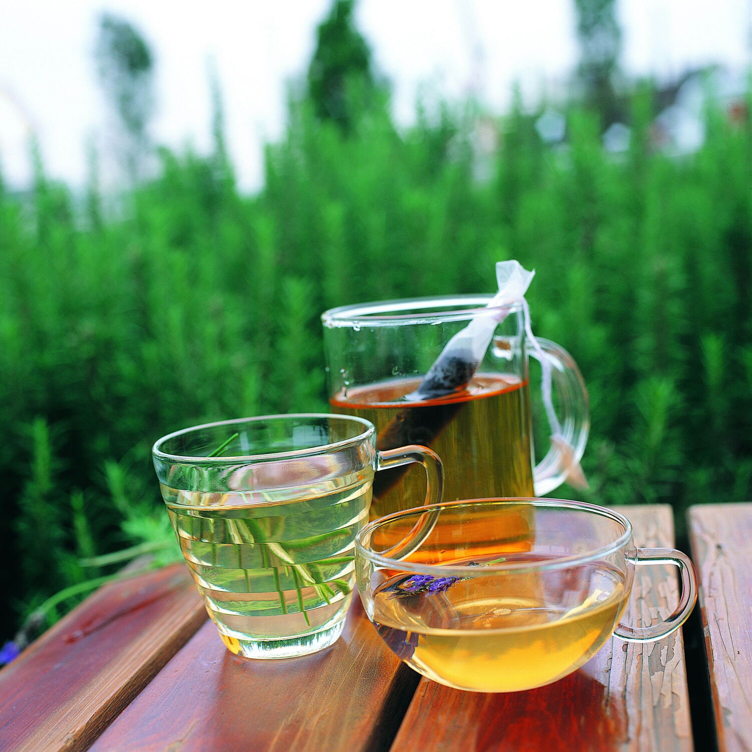 寿眉做得好，不比牡丹差！