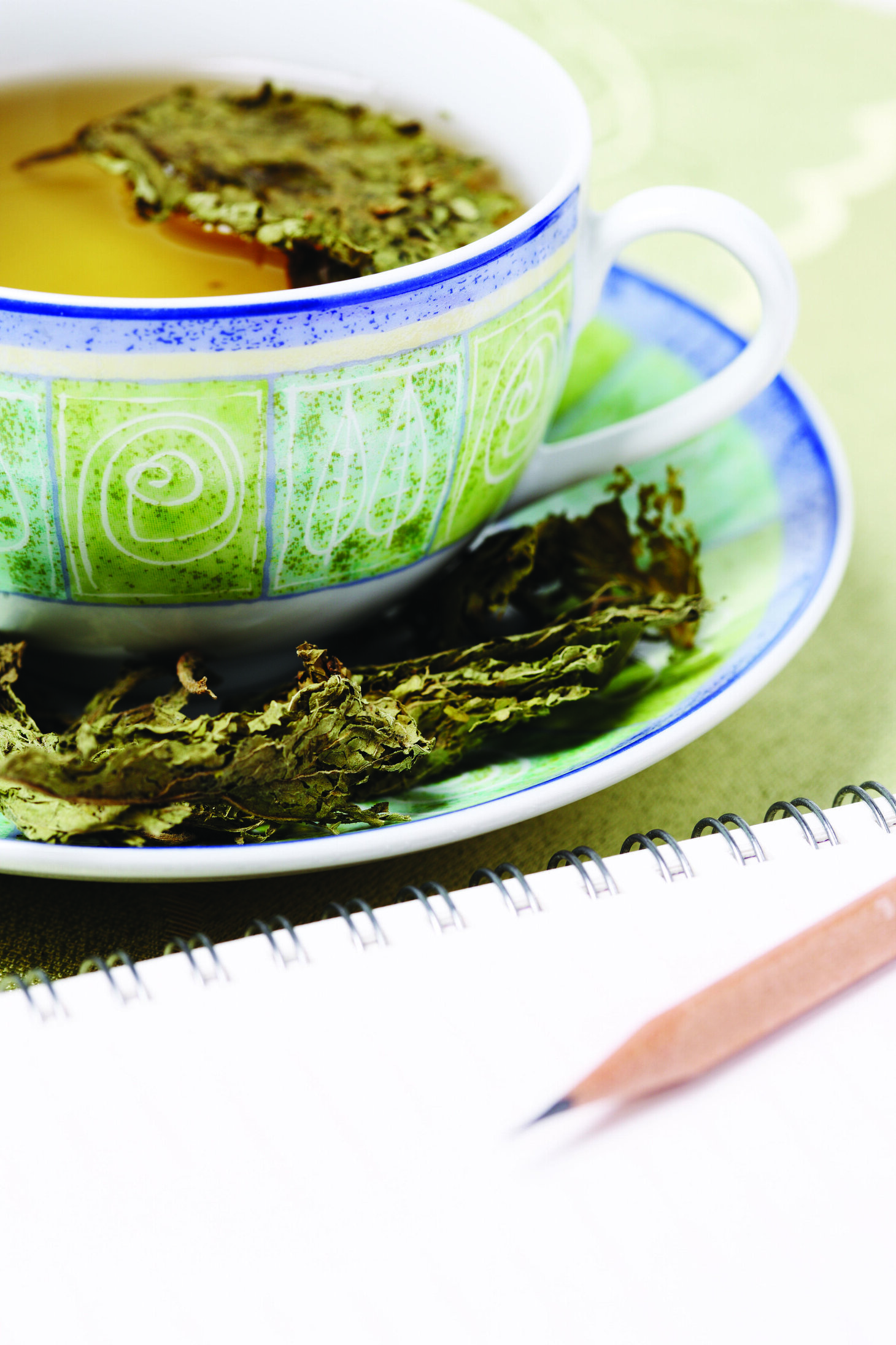 徽茶之香：祁门红茶