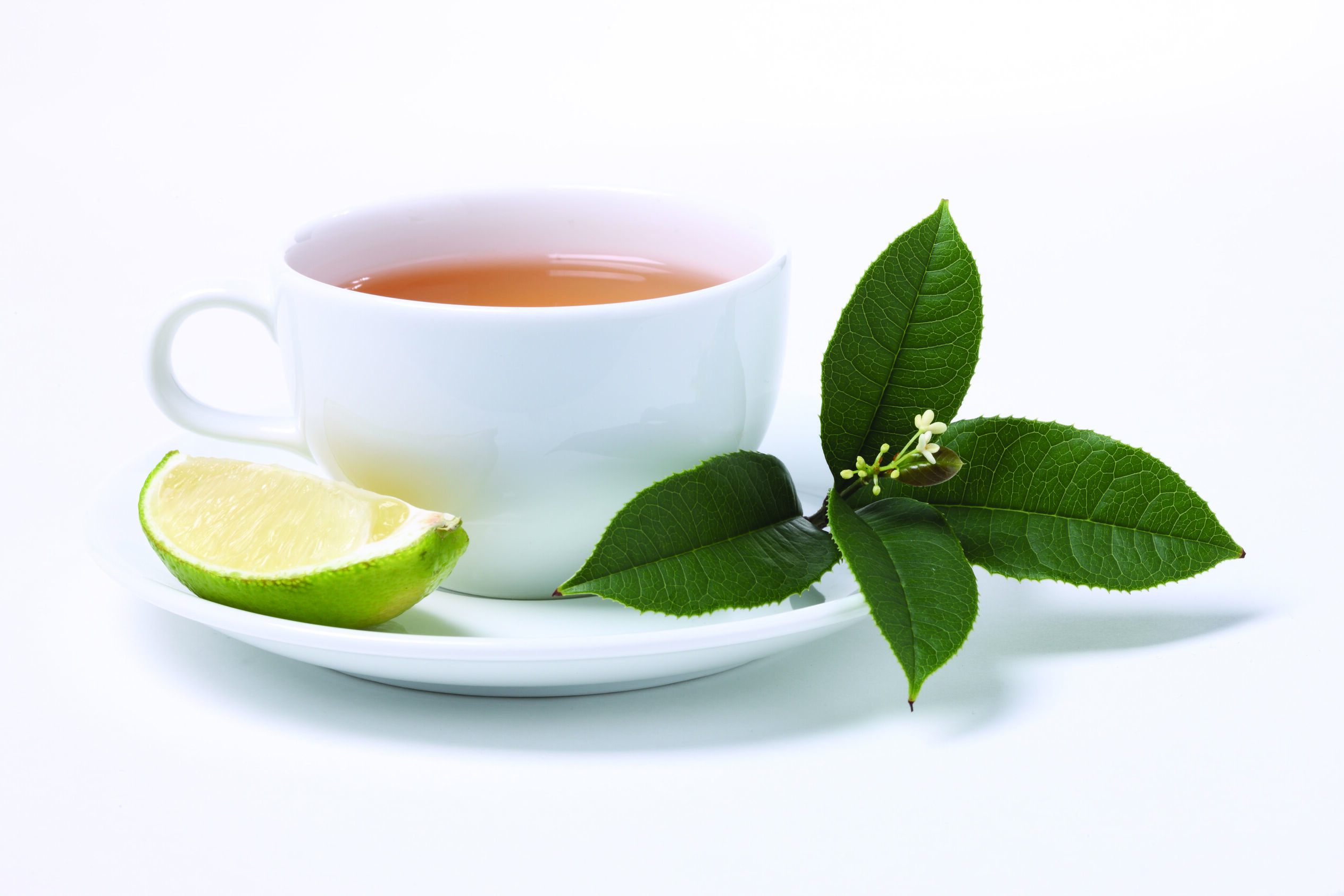 君山银针被清朝列为“贡品”！