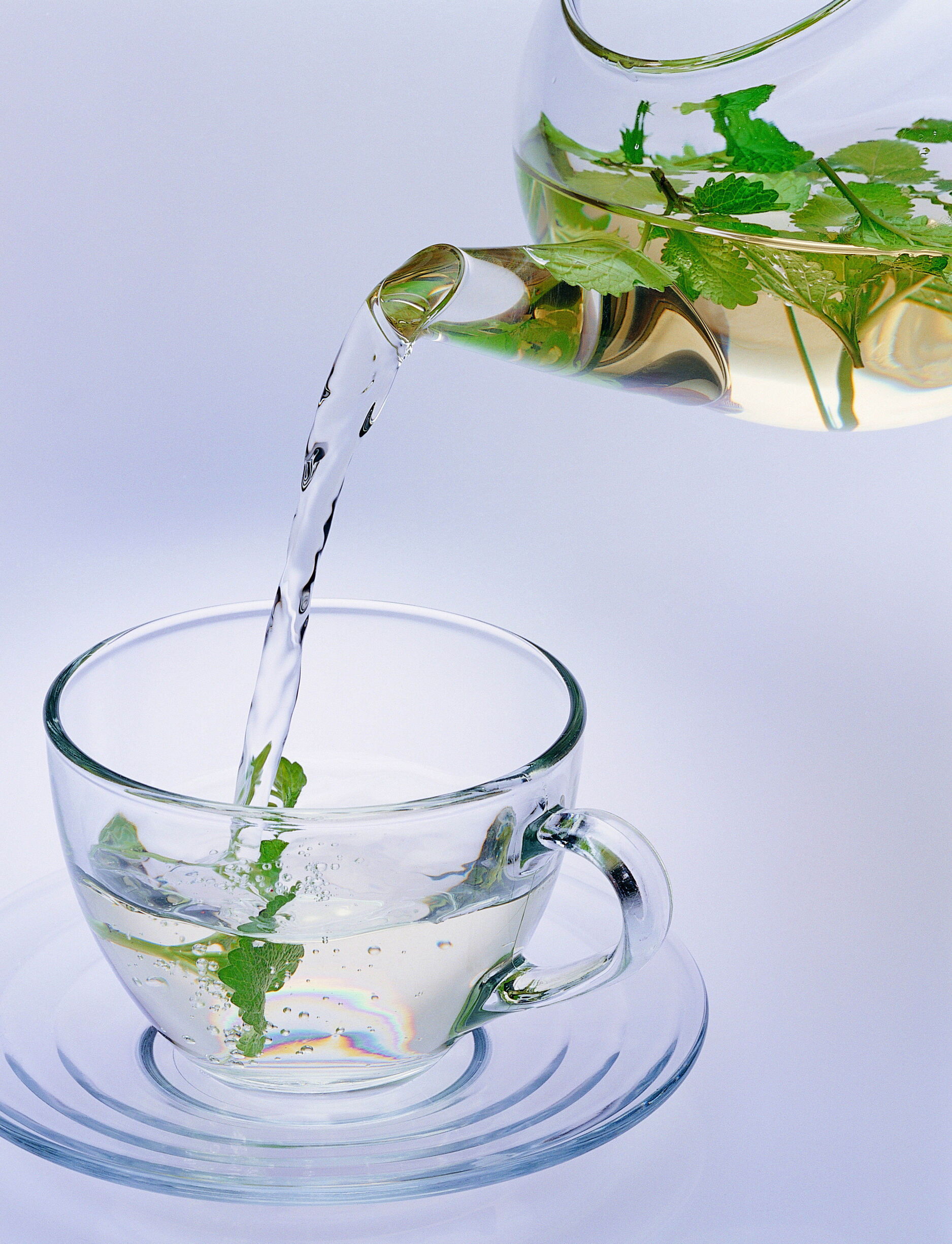 老白茶的投资及收藏解析