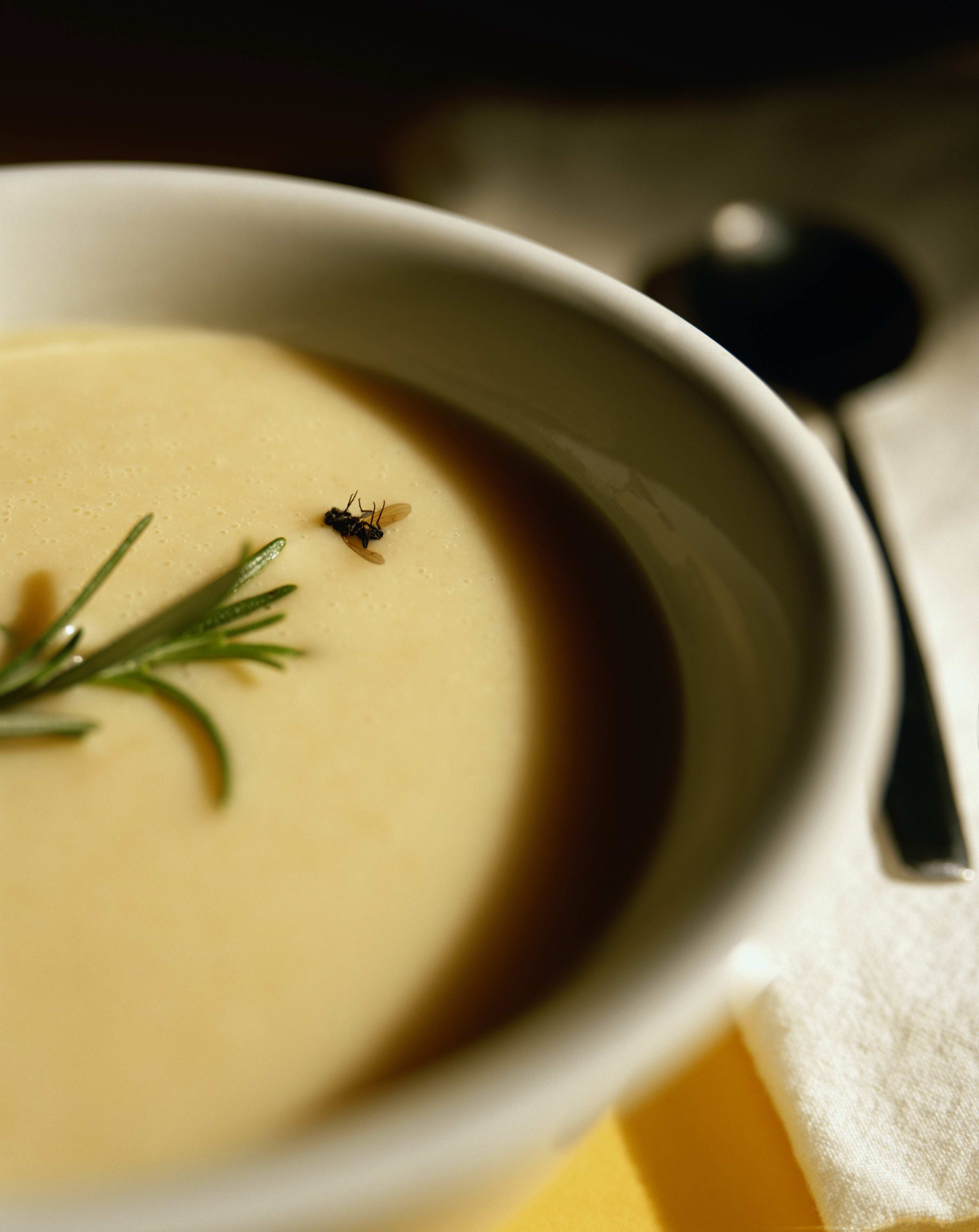 台湾乌龙茶的发展历史与传说故事？