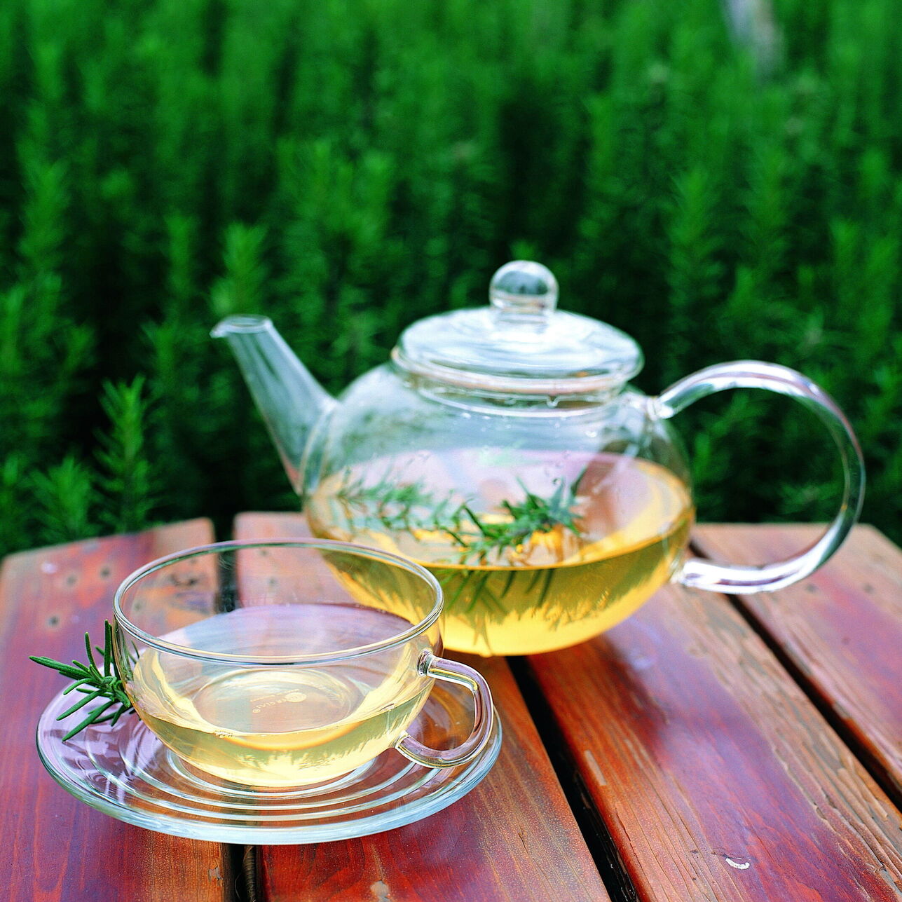 古丈毛尖如何冲泡？有哪些要点？