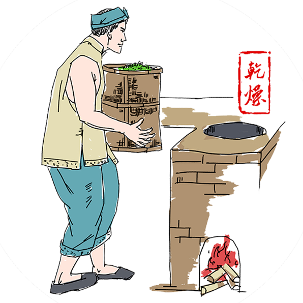 凤庆滇红茶之来历