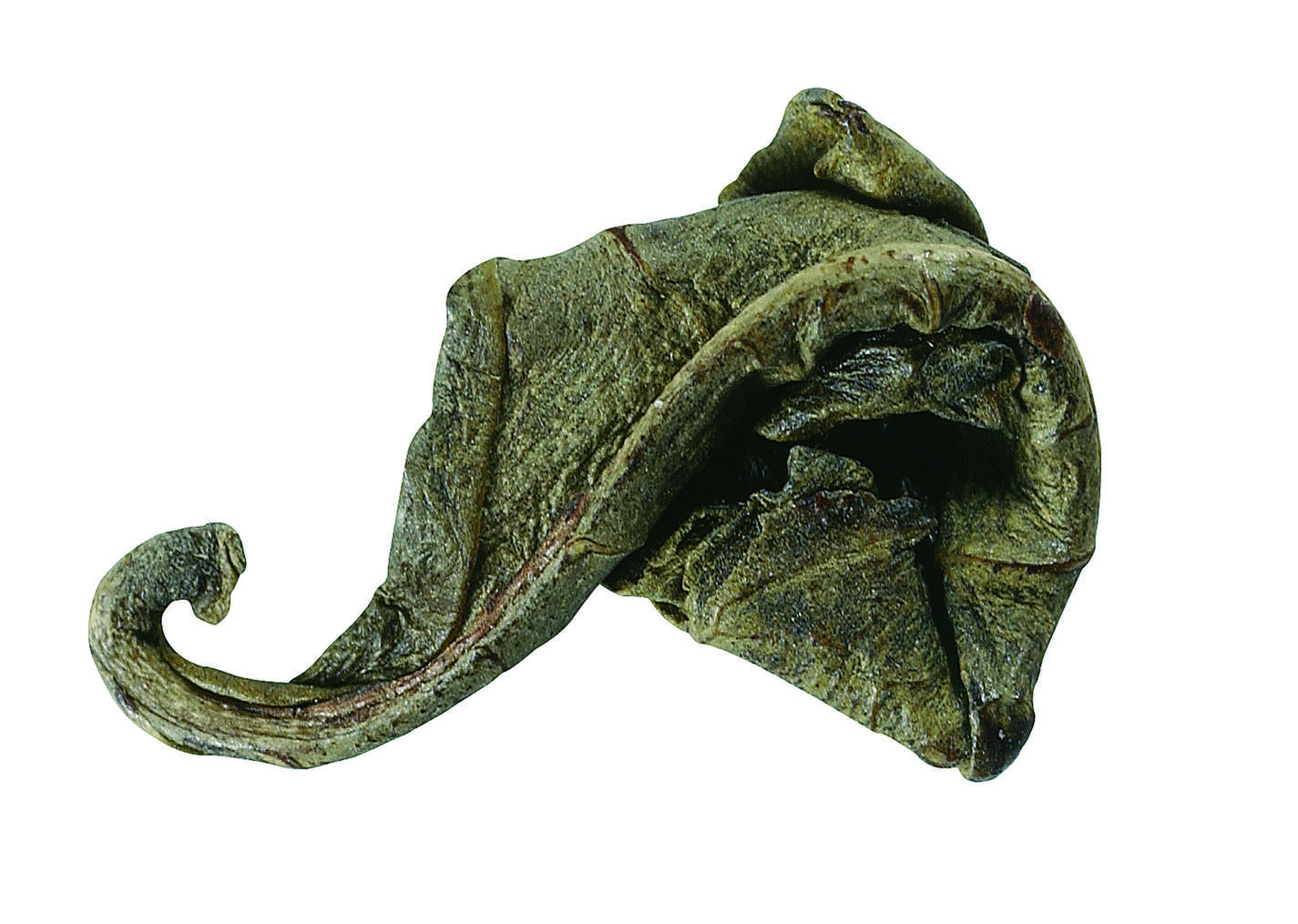 冻顶乌龙茶产自哪里？有什么历史传说？