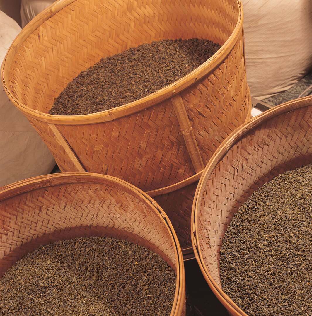 茯茶中的茶梗有什么作用？