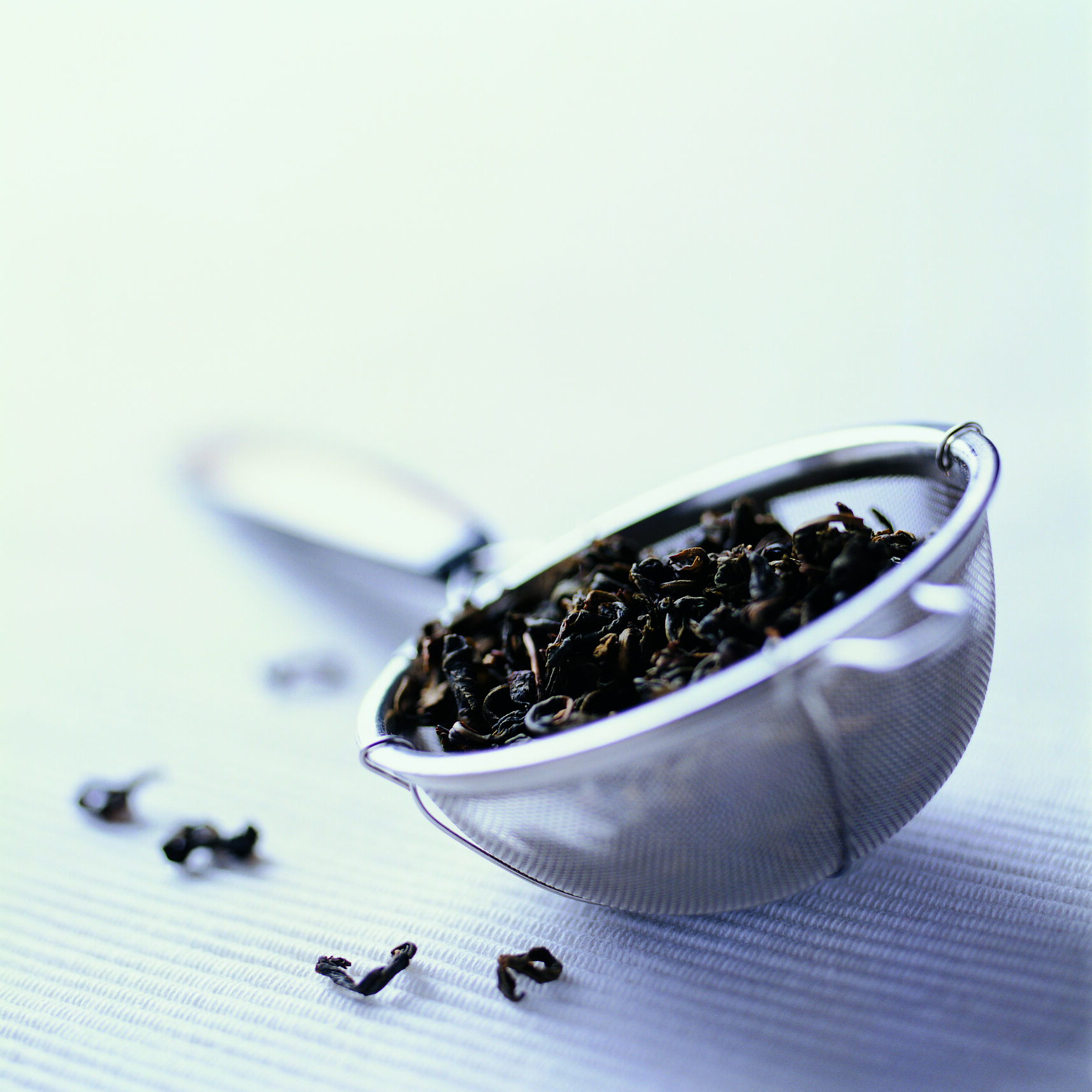 花果山云雾茶生长有何要求？