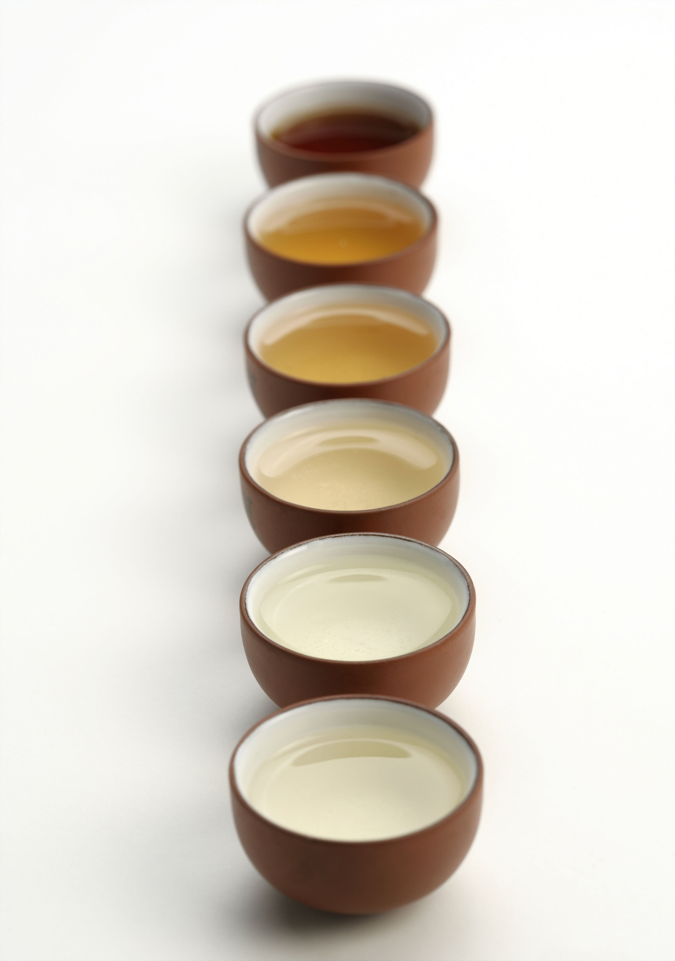 乌龙茶分类大全，喜欢乌龙的入门必备基础知识