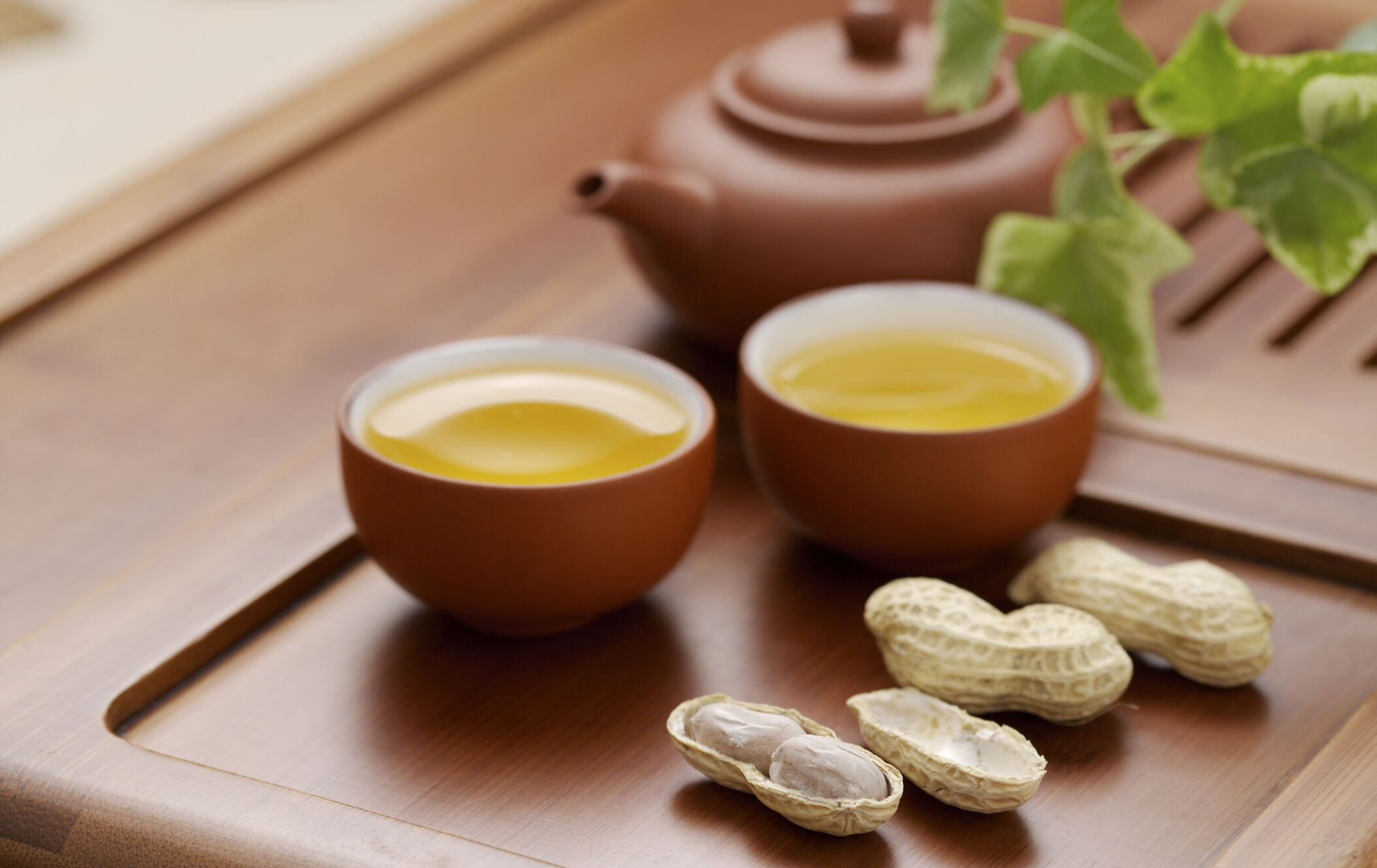 乌龙茶中很特殊的一种：白鸡冠！